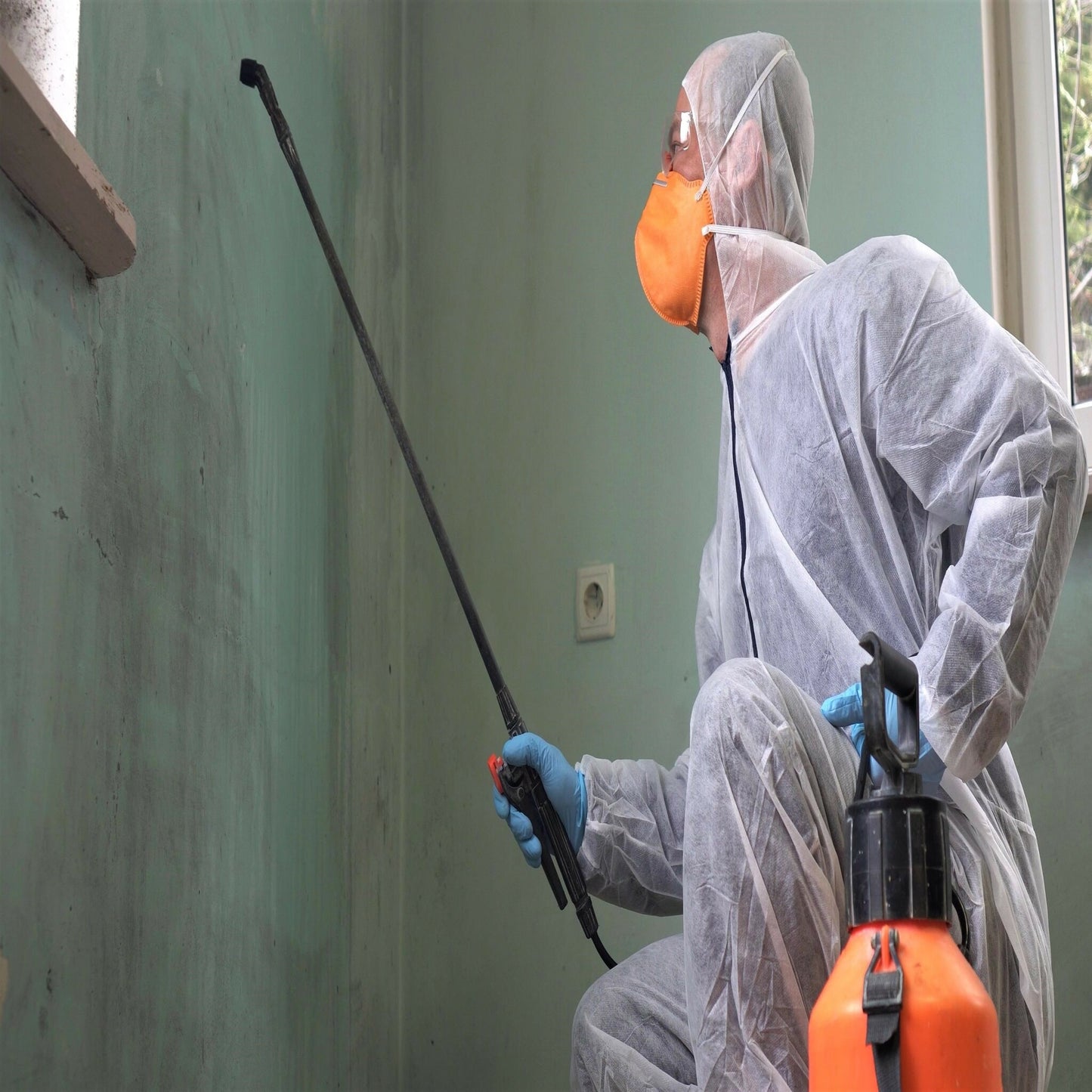 Mold Inspector Certification for Prevention, Remediation, and Removal Training